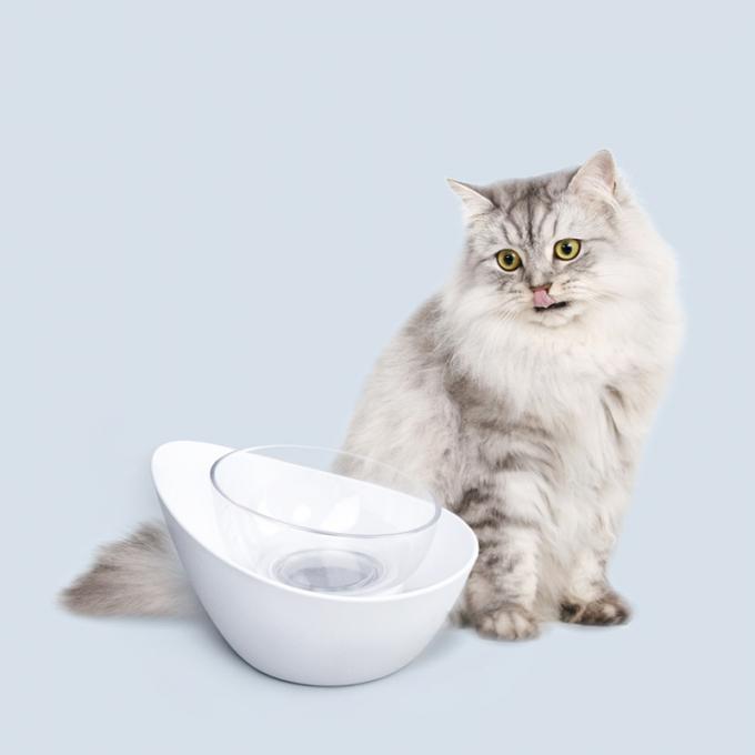   Elegant Design and Not Easy Broken Pet Food Water Feeding Bowl 