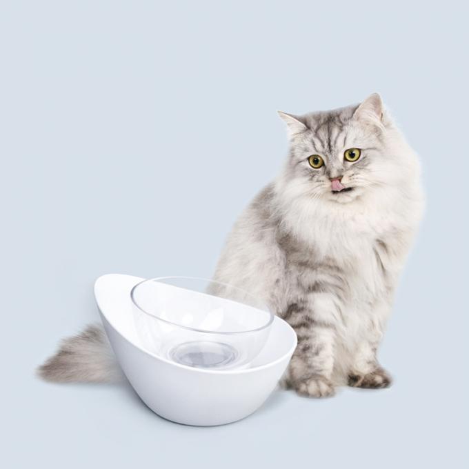 Elevated Cat Feeder Bowl for Puppy Dog and Cat