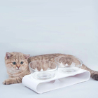  				The Dog Feeder and Cat Raised Pet Bowls for Small to Medium Dogs and Cats 	        